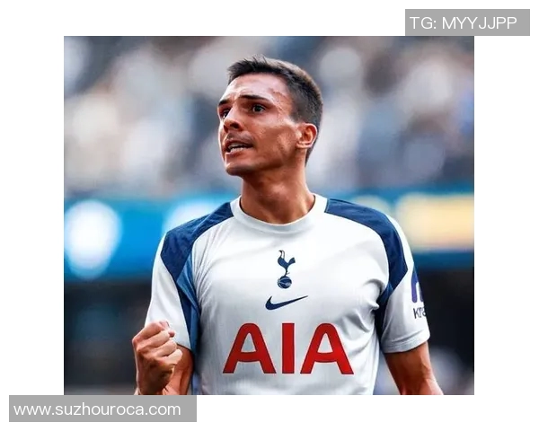 热刺足球明星头像大揭秘球迷必看收藏指南