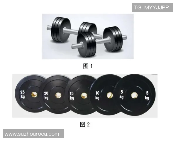 提升全身力量与灵活性的哑铃摆臂训练方法解析与技巧分享