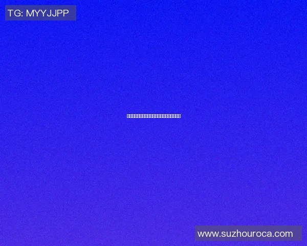 篮球明星的魅力与成就法语介绍及其影响力分析